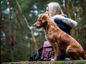 Read more about the article 10 Best Training Collars for Stubborn Dogs – Overview of 10 Best Brands